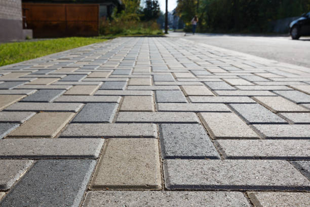 Best Local Driveway Pavers  in Trowbridge Park, MI