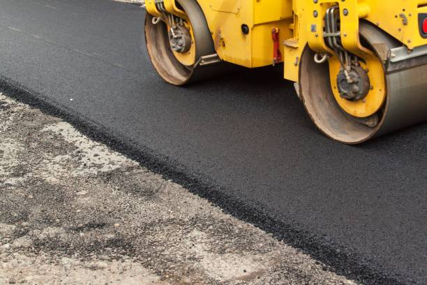Best Driveway Paving Near Me  in Trowbridge Park, MI